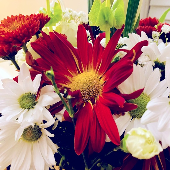 Meet your Posher, Lisa - Picture 1 of 1